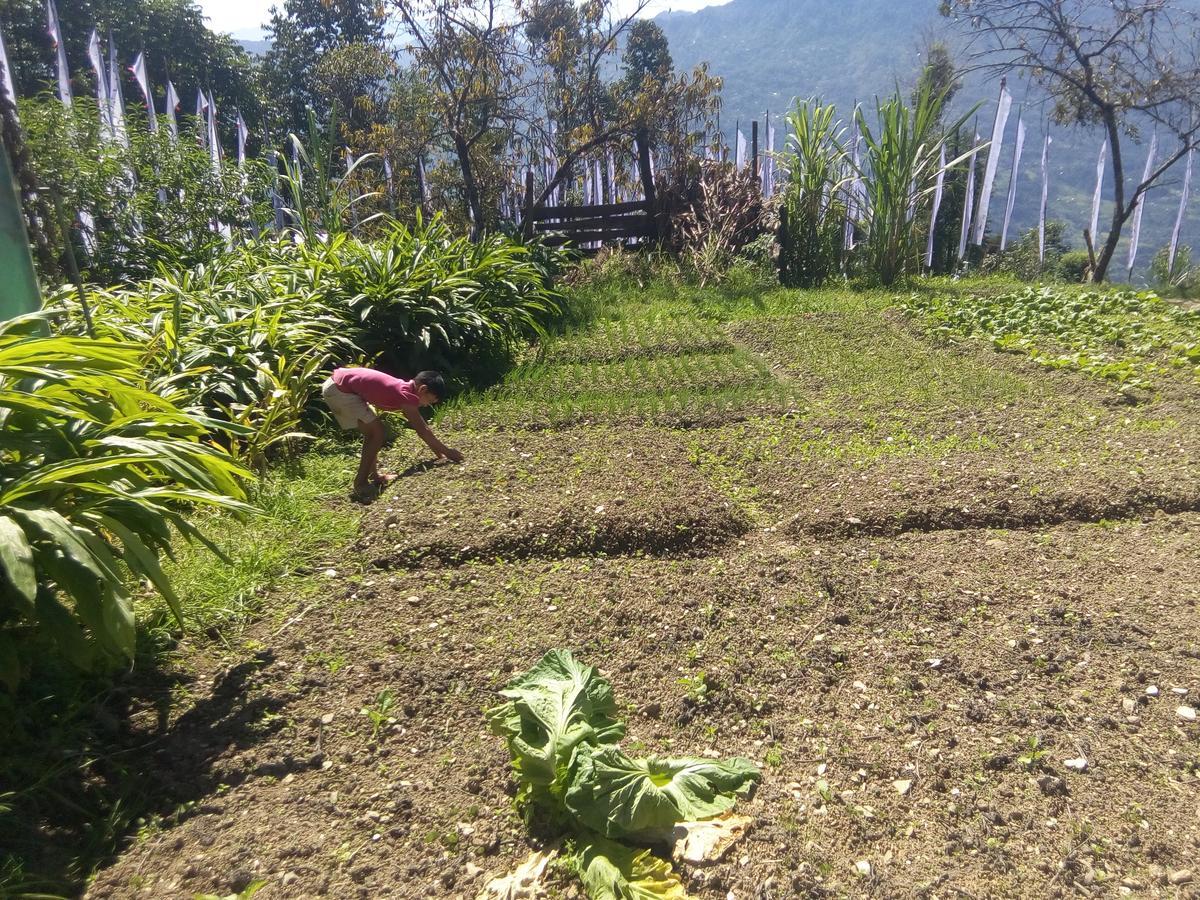 Martam Farmhouse Pelling Bagian luar foto