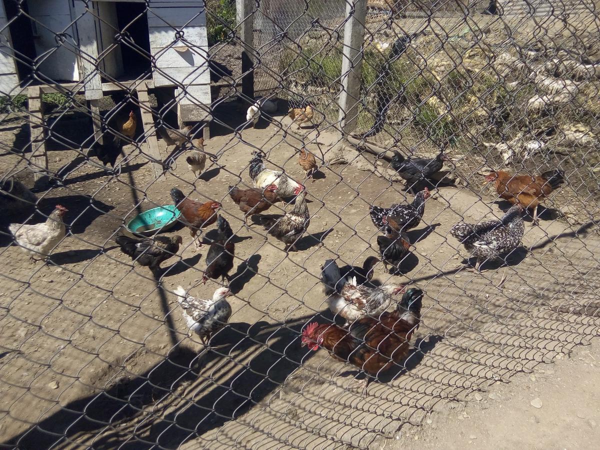 Martam Farmhouse Pelling Bagian luar foto