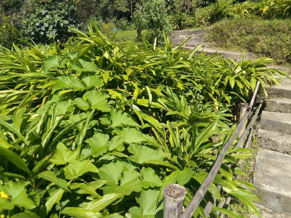 Martam Farmhouse Pelling Bagian luar foto